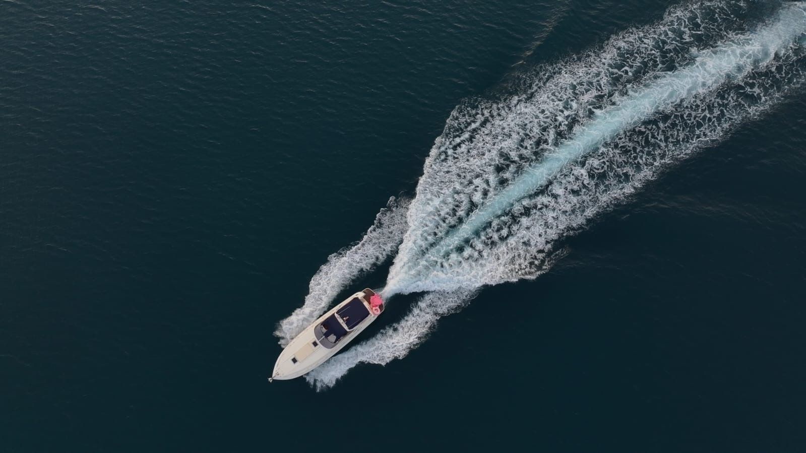 Colombo 43 | Freedom