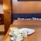 Bavaria Cruiser 46 | Whiskey Foxtrot