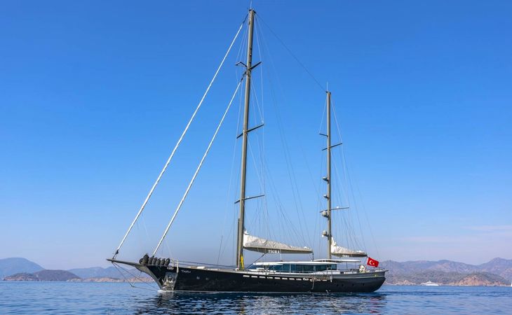 Custom Built 124 | Tigra