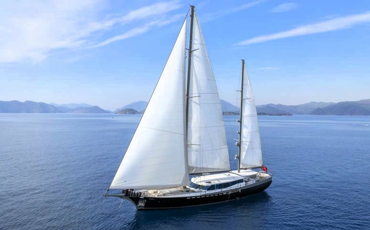 Custom Built 124 | Tigra