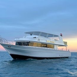 Custom Built 68 | Edan Storm