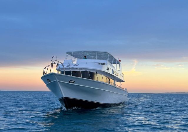 Custom Built 68 | Edan Storm