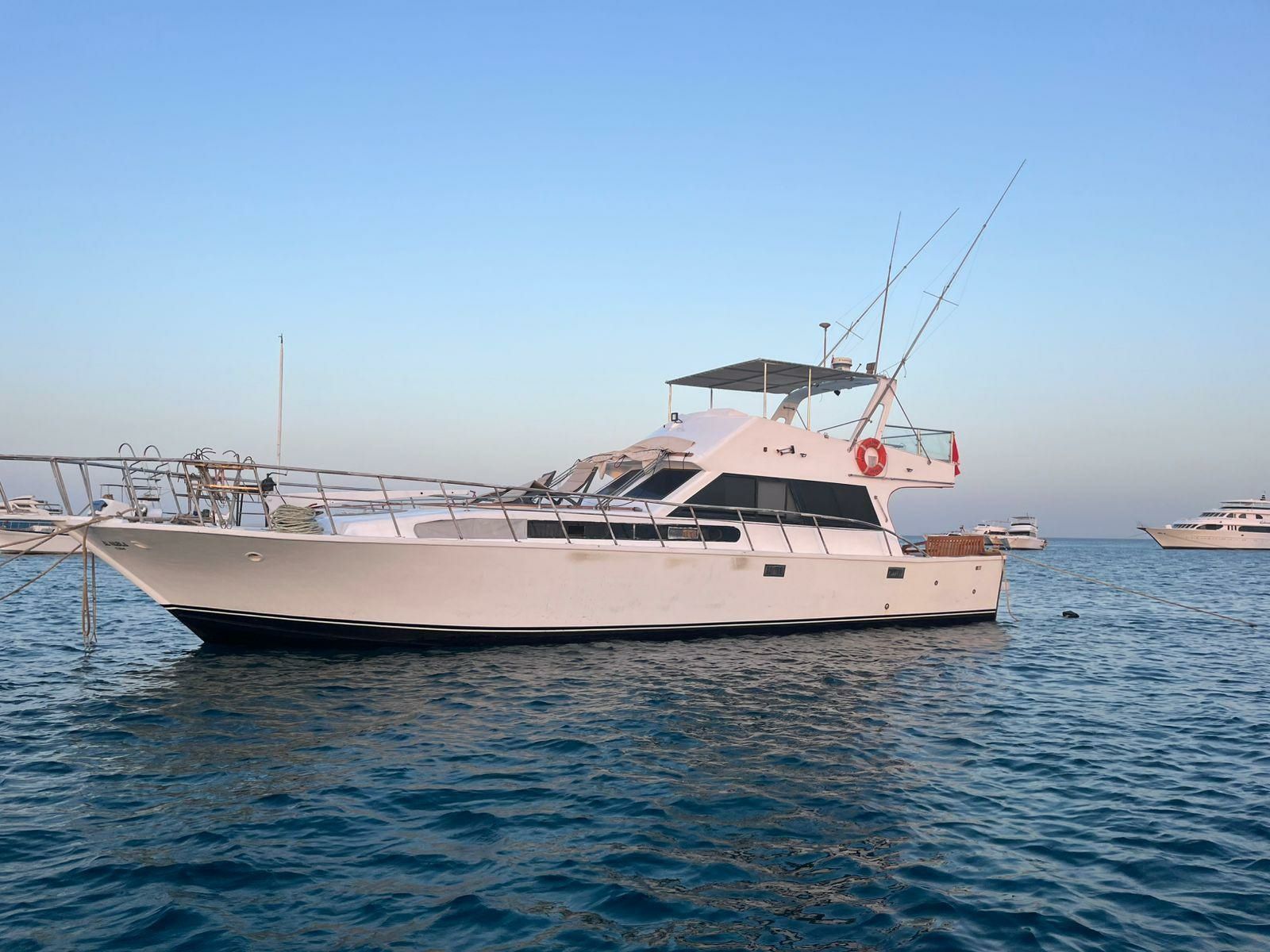 Custom Built 65 | Mini Edan Storm