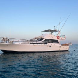 Custom Built 65 | Mini Edan Storm