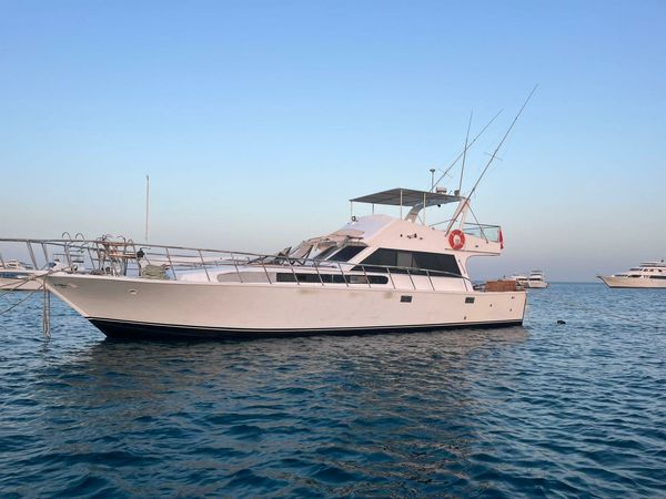 Custom Built 65 | Mini Edan Storm