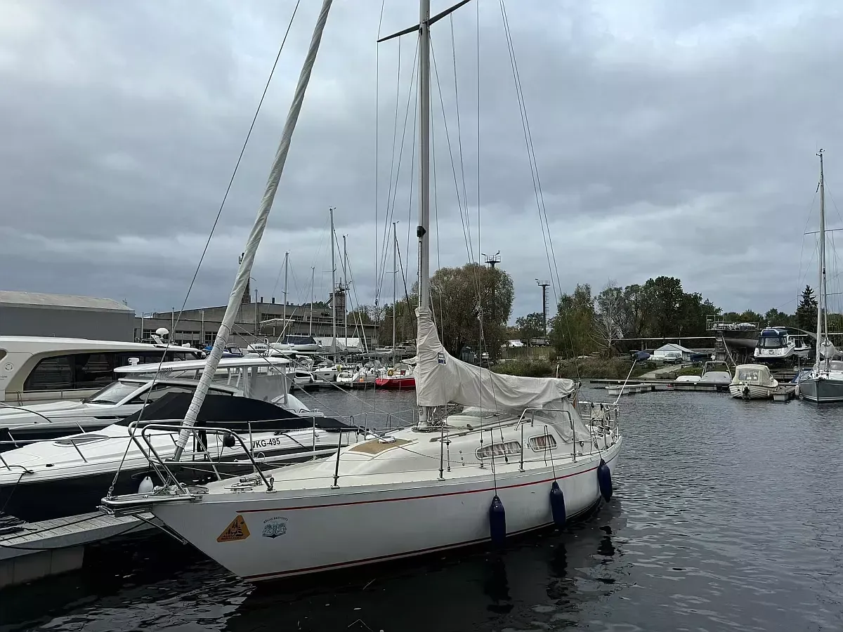 Albin Ballad 30 | Eleonora