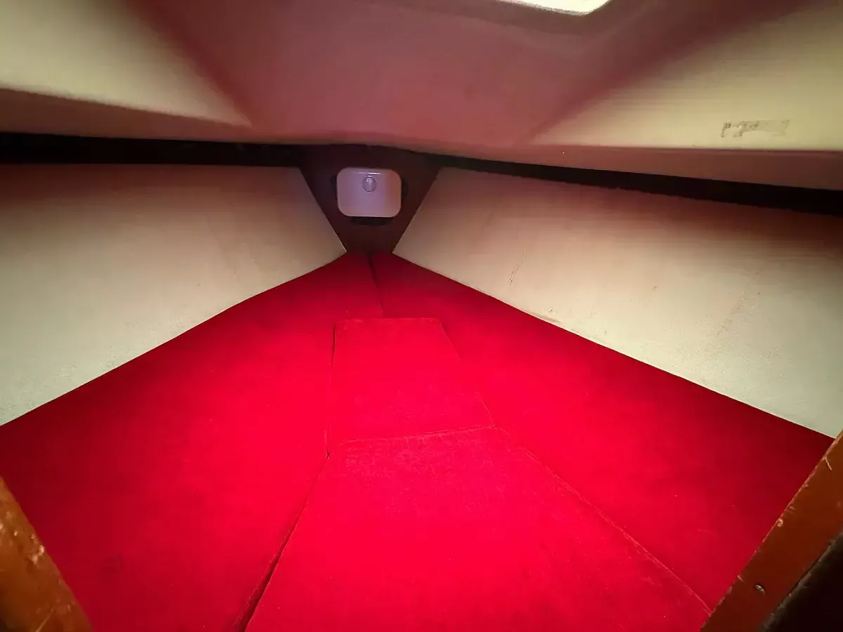 Albin Ballad 30 | Eleonora