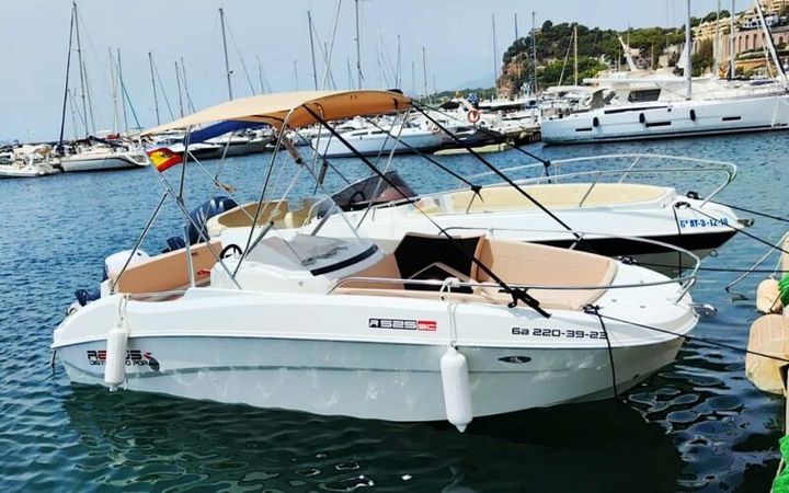 Remus 525 SC | Ponent