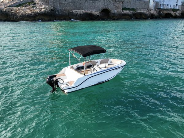 Quicksilver 475 aXess | Nano