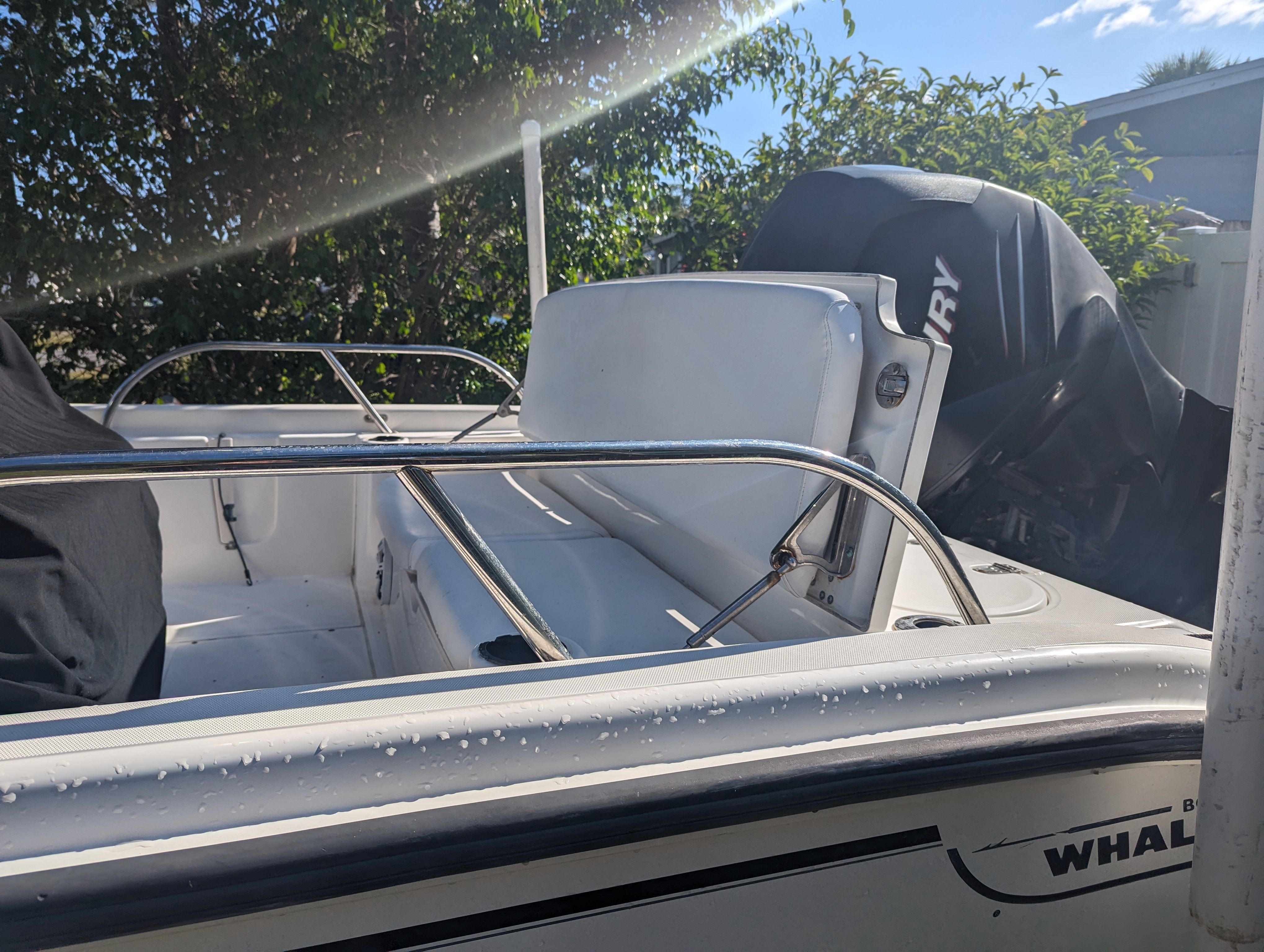 Boston Whaler 180 | Calf