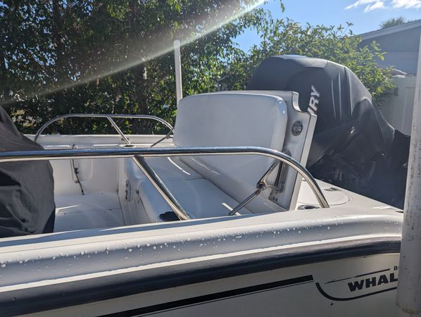Boston Whaler 180 | Calf