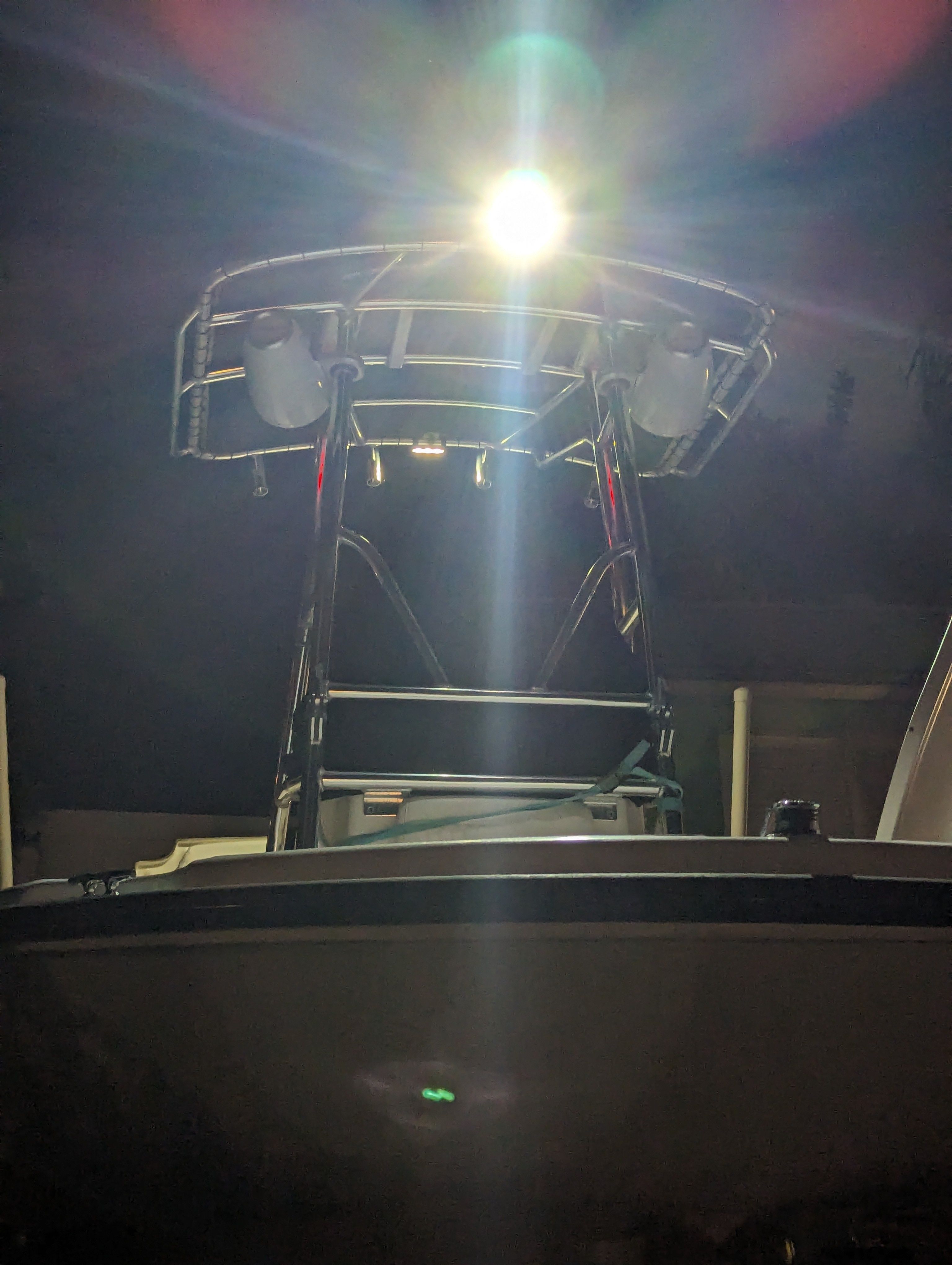 Boston Whaler 180 | Calf