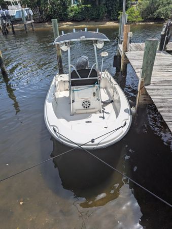 Boston Whaler 180 | Calf
