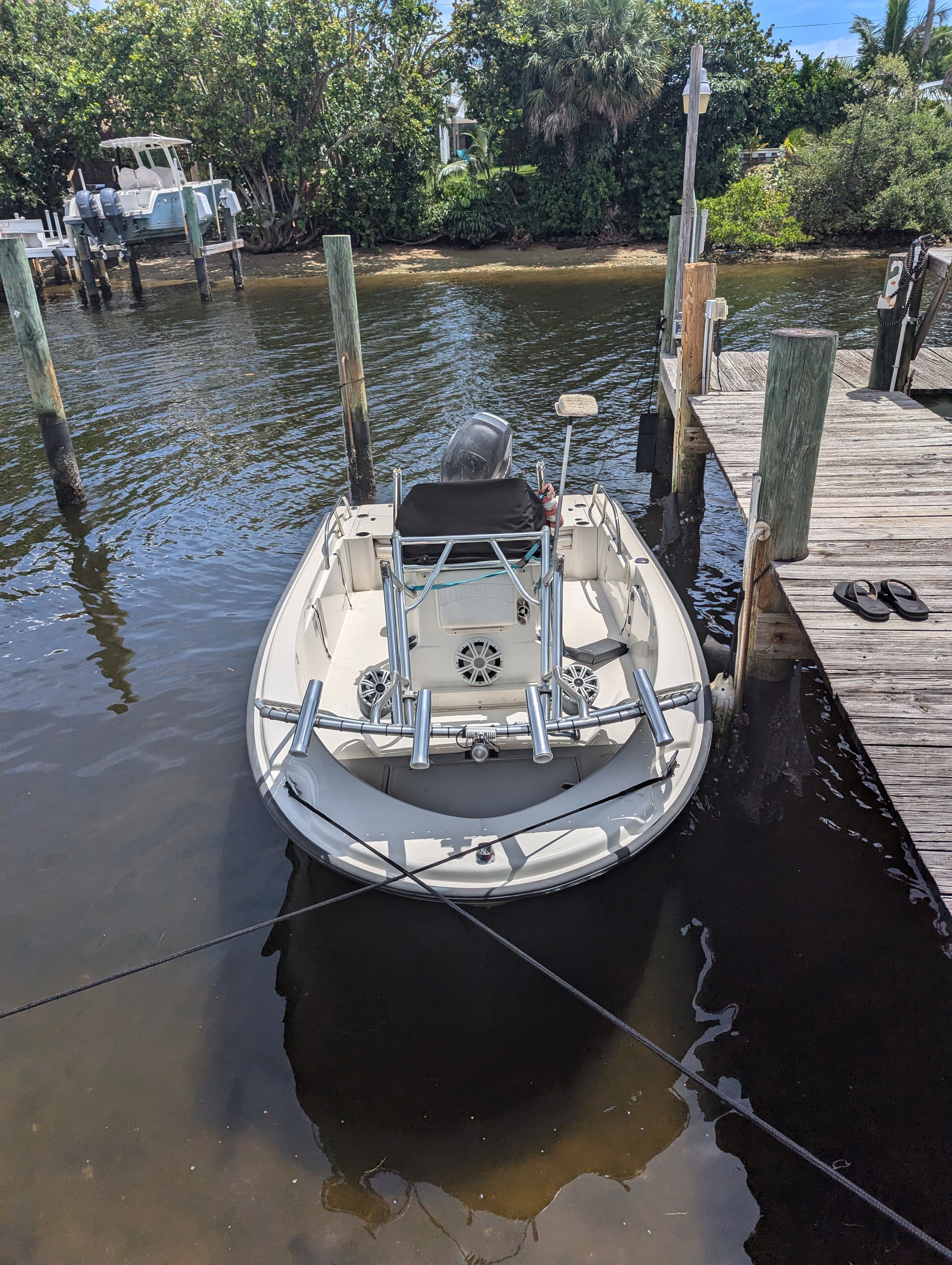 Boston Whaler 180 | Calf