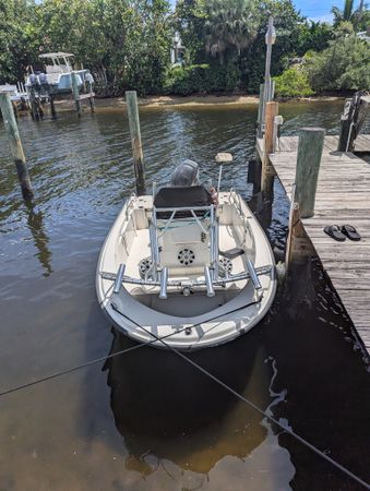 Boston Whaler 180 | Calf