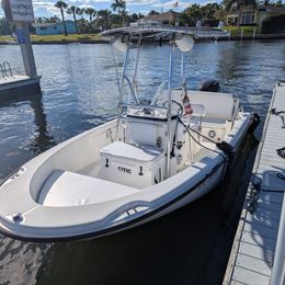 Boston Whaler 180 | Calf