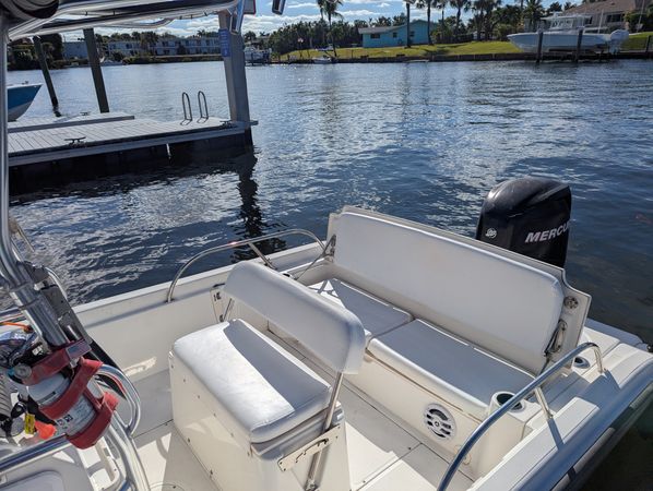Boston Whaler 180 | Calf