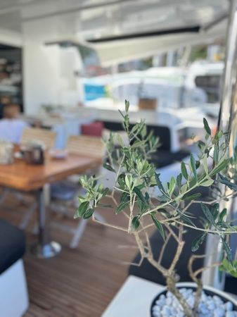 Lagoon 50 | Captain Morgan