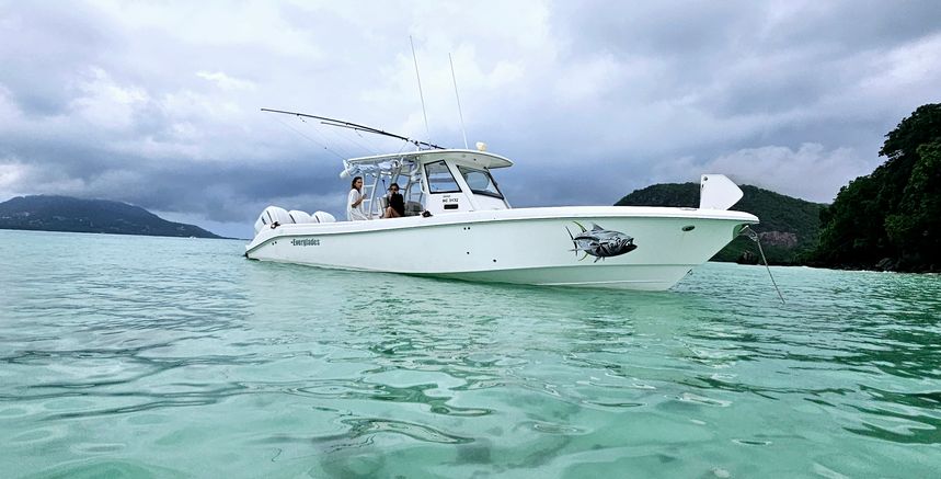 Everglades 355 | Bibi