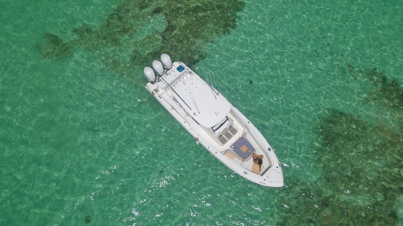 Everglades 355 | Bibi