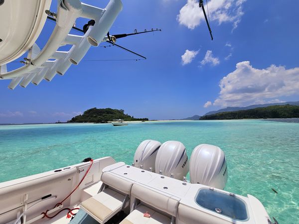 Everglades 355 | Bibi