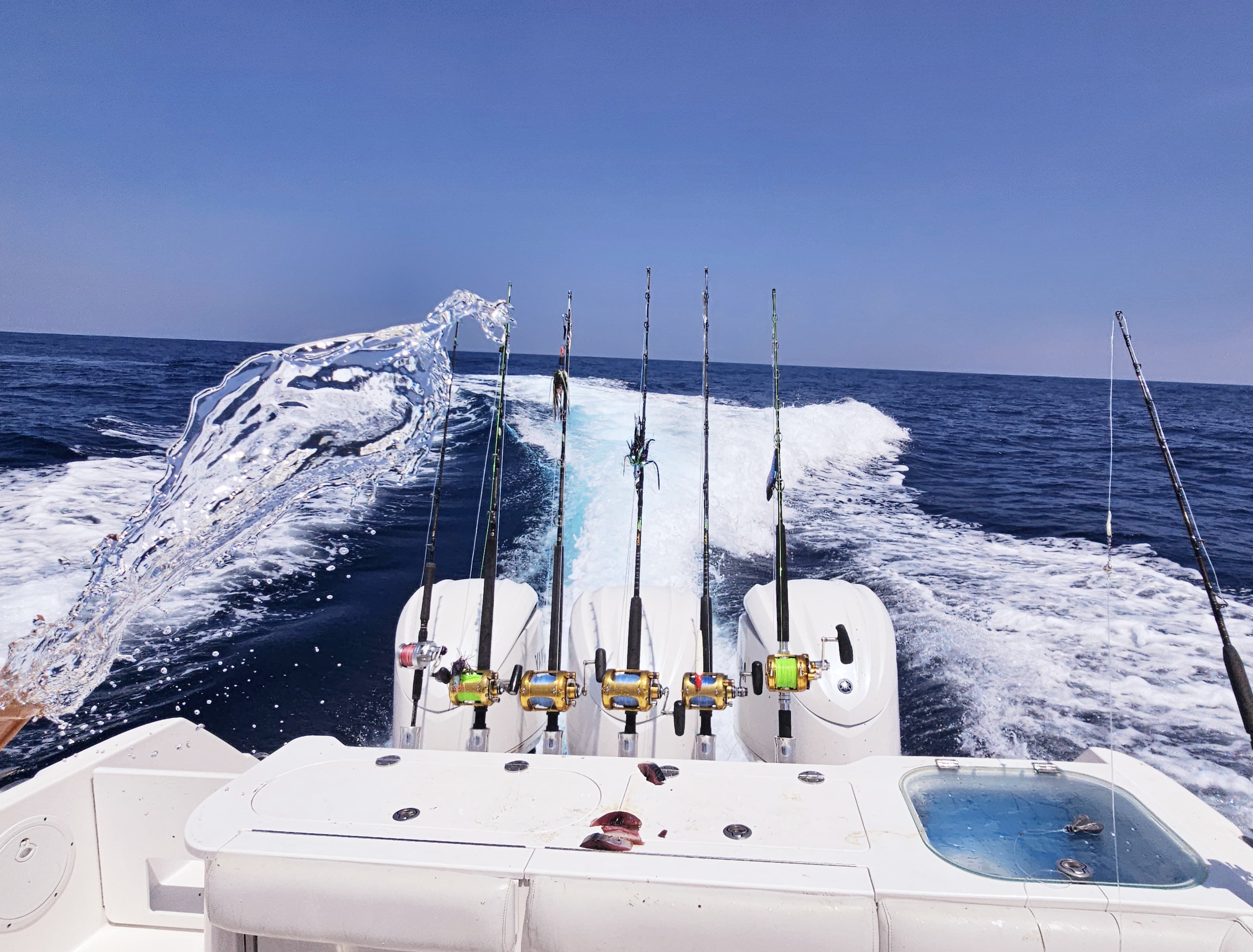 Everglades 355 | Bibi