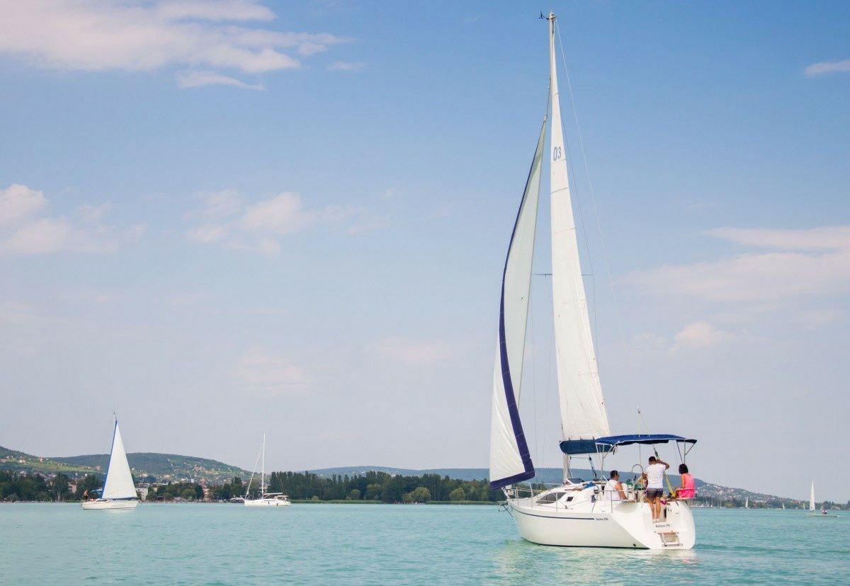 Balaton 295 | Shark