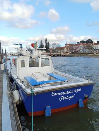 Aquabell 33 | Esmeralda Azul