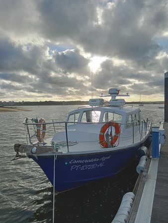 Aquabell 33 | Esmeralda Azul
