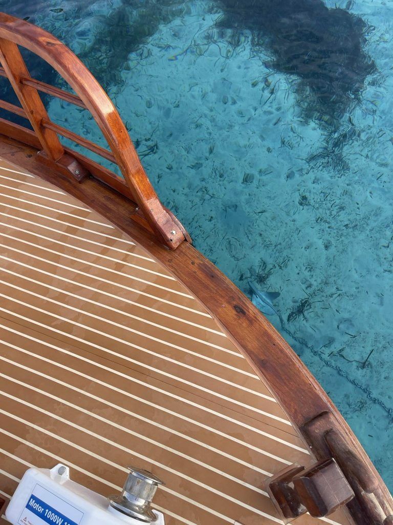 Custom Built 30 | Sapientza Cruiser