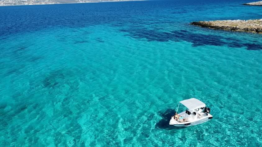 Unique 4.7 | Pandora