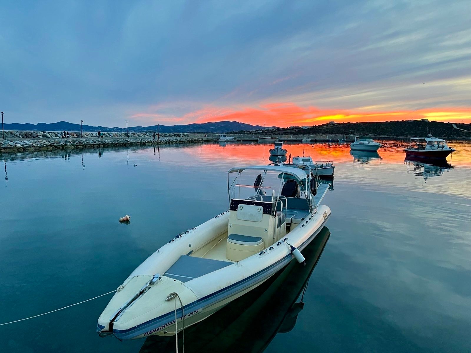 Typhoon 10 | Pandorian