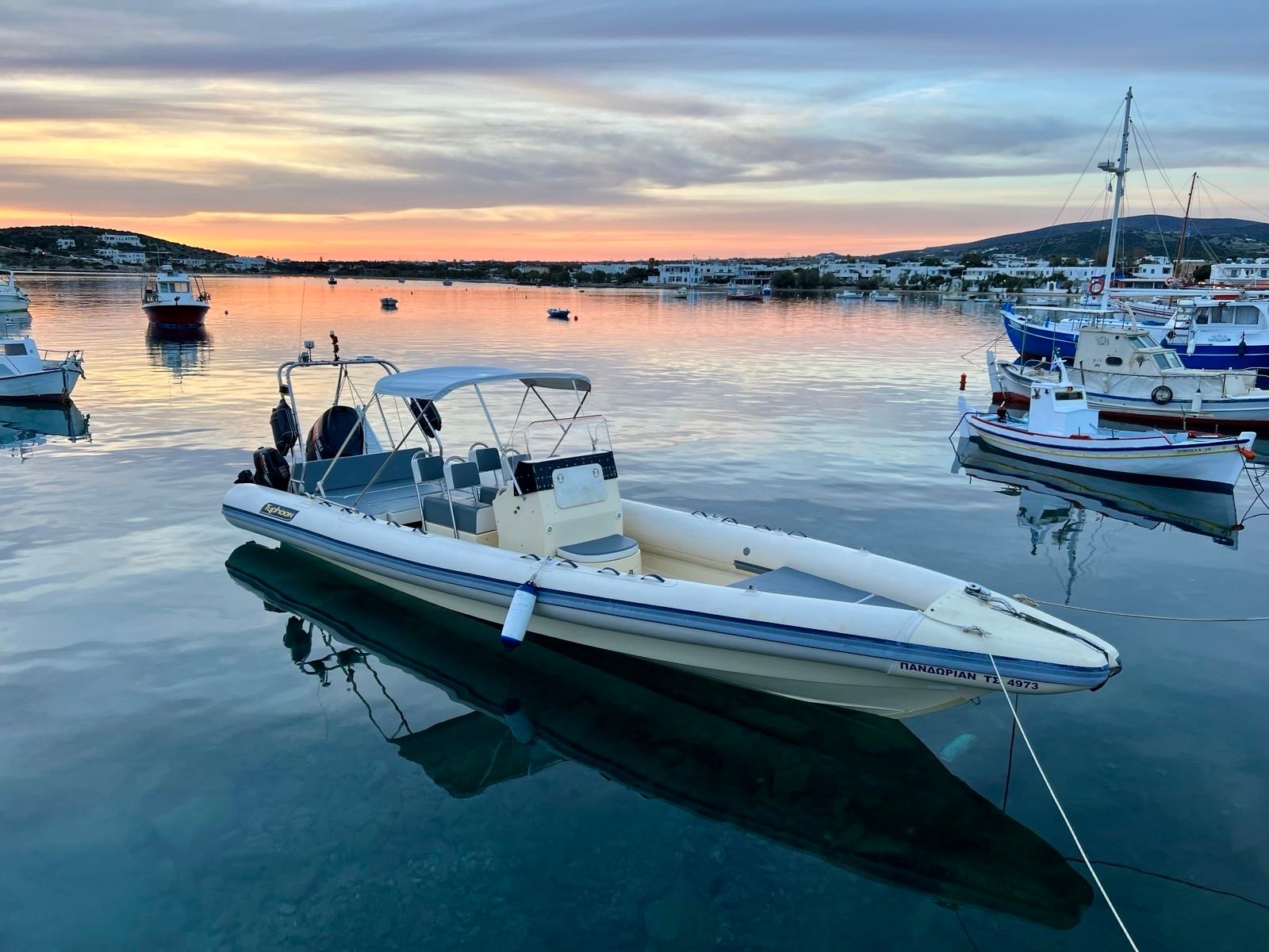 Typhoon 10 | Pandorian