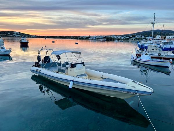 Typhoon 10 | Pandorian