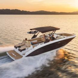 Sea Ray 290 | 17
