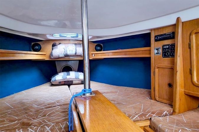 Corvette 650 | Afrodyta