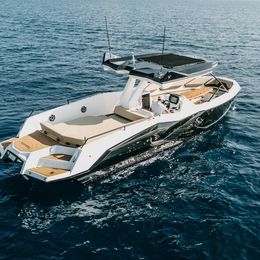 Alesta Raptor | Raptor NBII