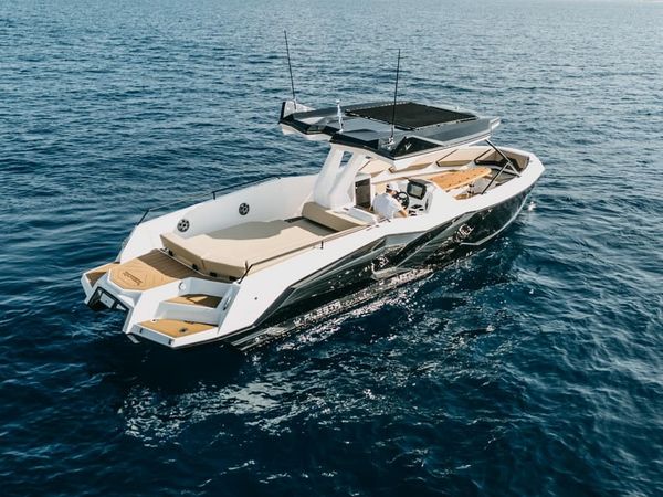 Alesta Raptor | Raptor NBII