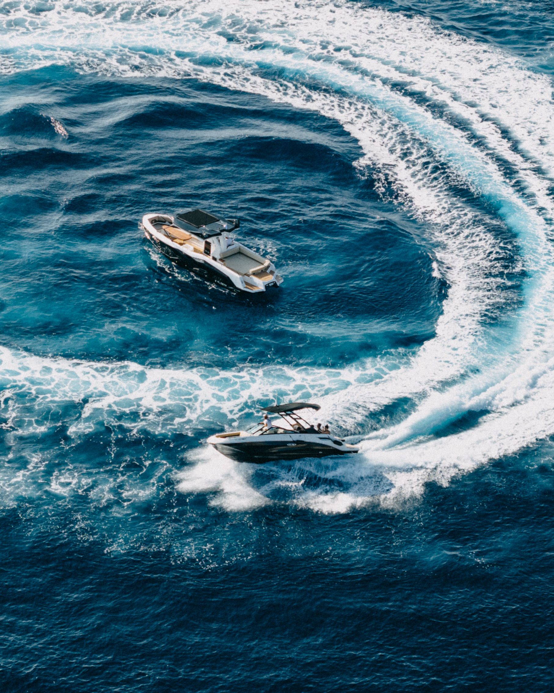 Alesta Raptor | Raptor NBII