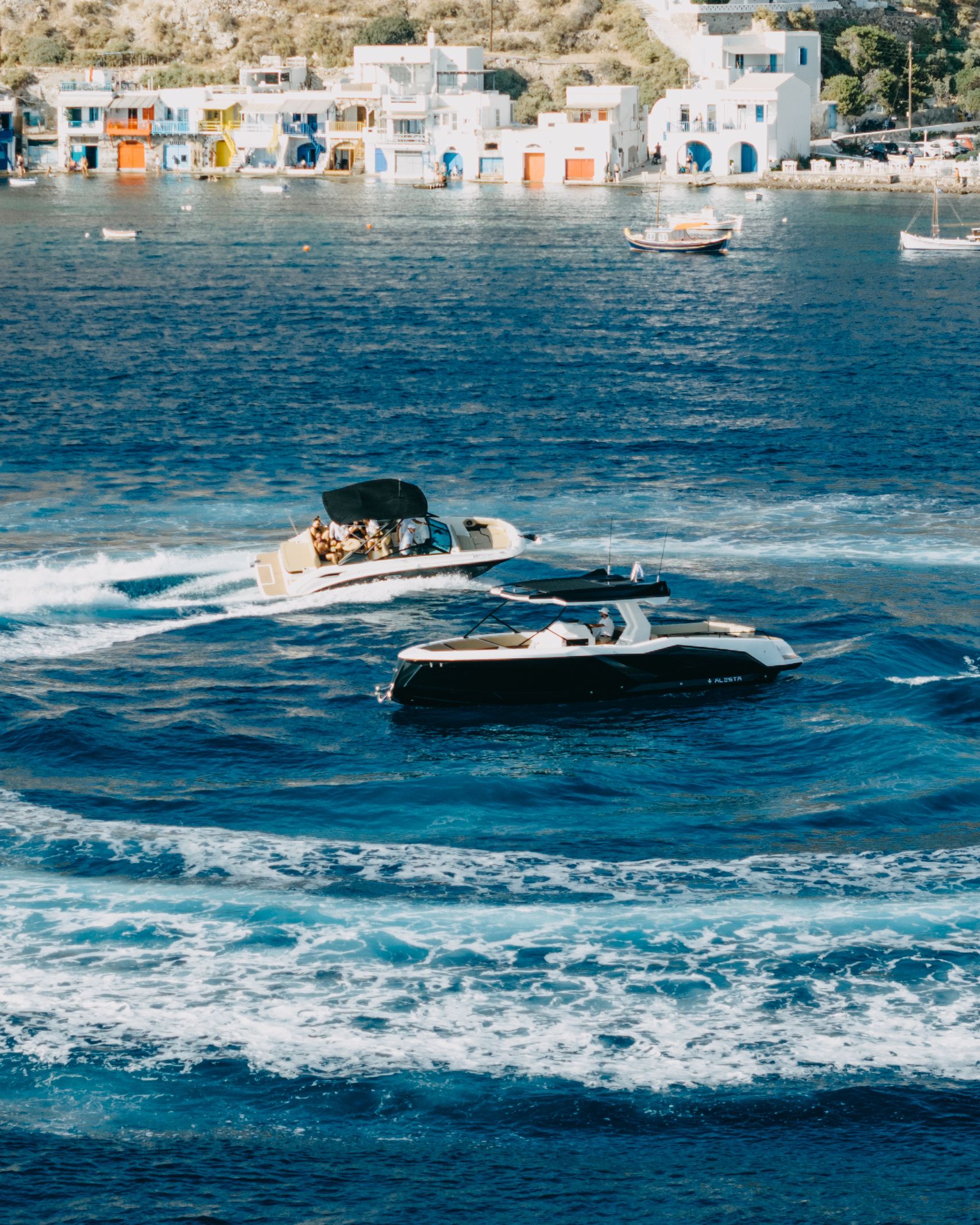 Alesta Raptor | Raptor NBII