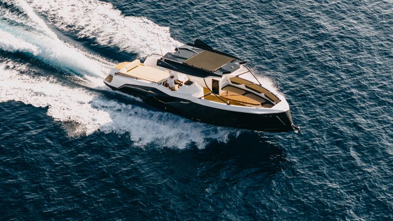 Alesta Raptor | Raptor NBII