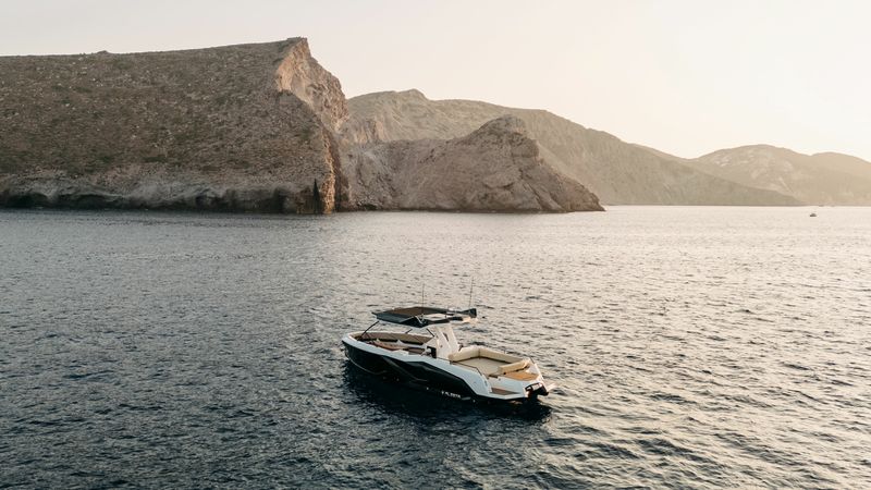 Alesta Raptor | Raptor NBII