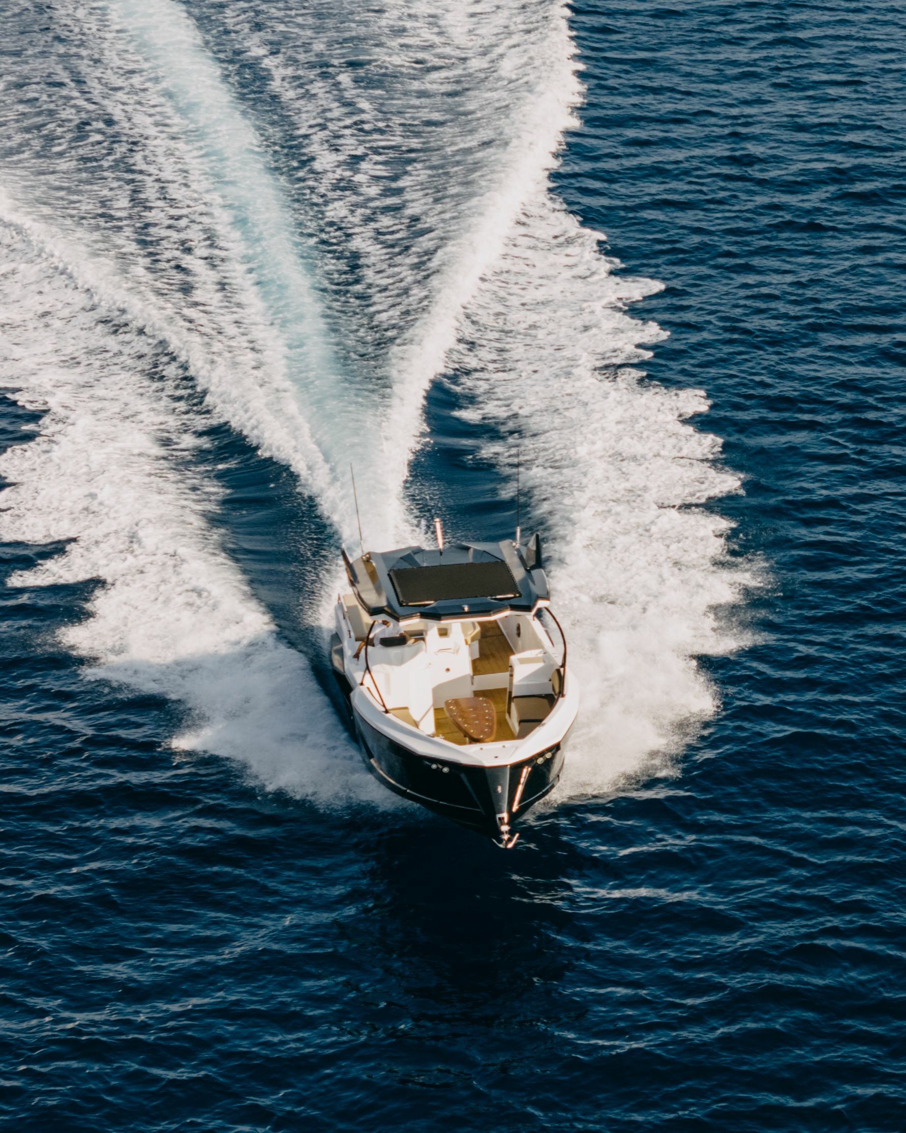 Alesta Raptor | Raptor NBII