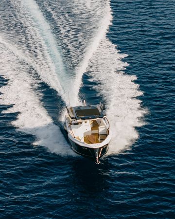 Alesta Raptor | Raptor NBII