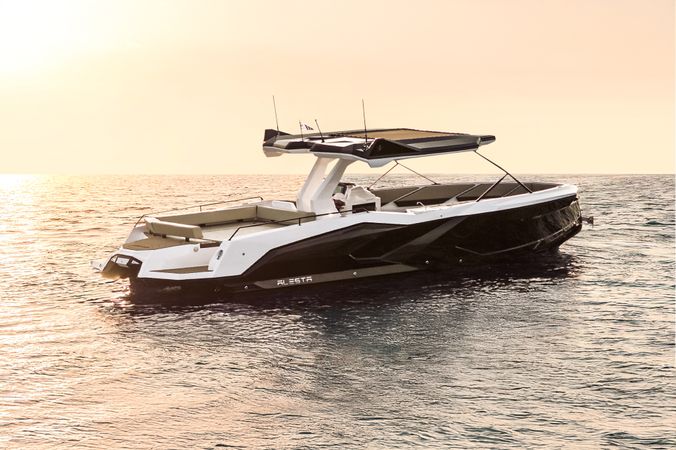 Alesta Raptor | Raptor NBII