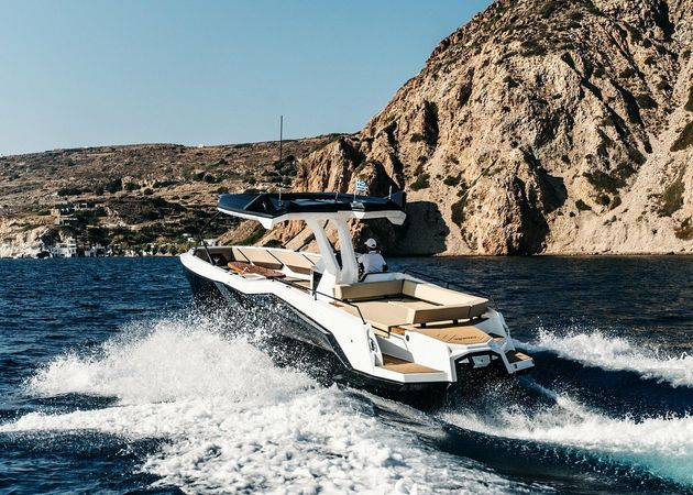 Alesta Raptor | Raptor NBII