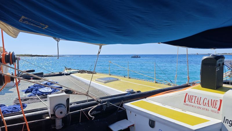 Prototipo Bergamini 50 | Double Trouble