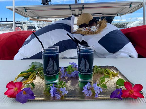 Lagoon Power 43 | Migaloo