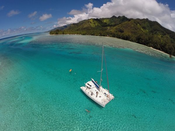 Leopard 43 | Go Zone