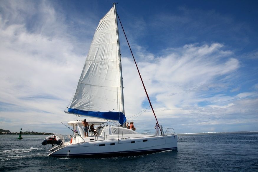 Leopard 43 | Go Zone